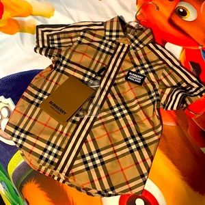 Burberry button down shirt